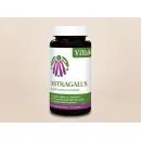 YiYa Astragalus & Echinacea – természetes immunvédelem 60 db 5990.- YiYa Astragalus & Echinacea – természetes immunvédelem 60 db 5990.-